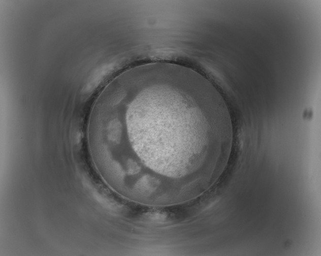 X0000112090687200908111354