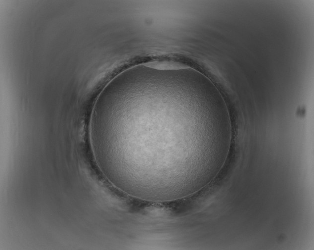 X0000112090689200908111354