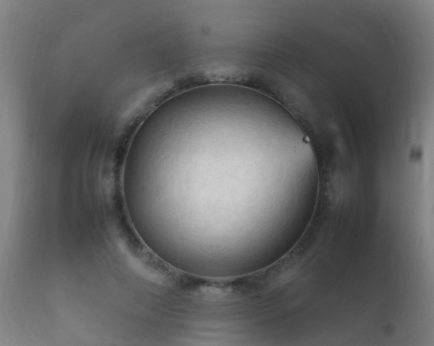 X0000112090690200908111354