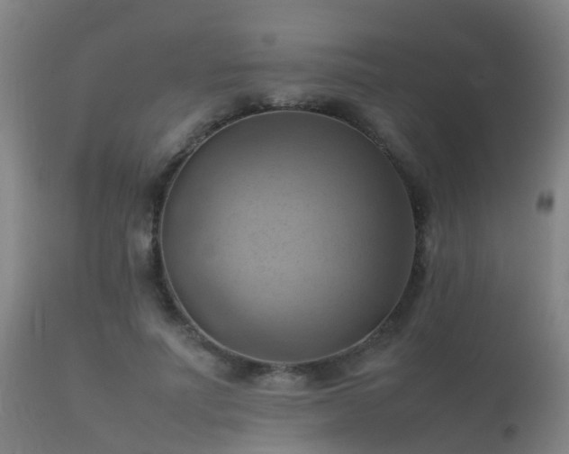 X0000112090691200908111354