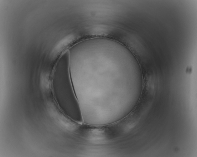 X0000112090692200908111353