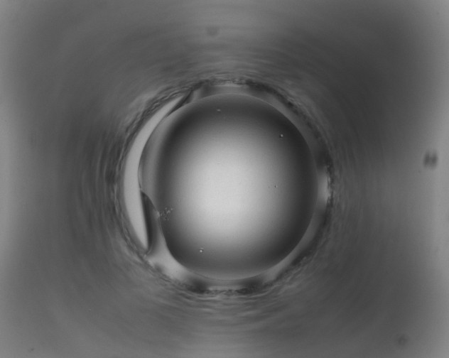 X0000112090693200908111353