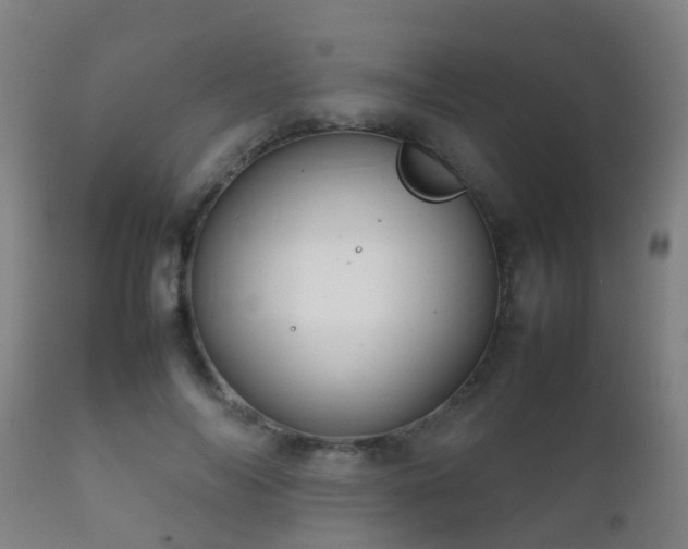 X0000112090694200908111353