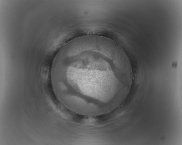 X0000112090695200908111353