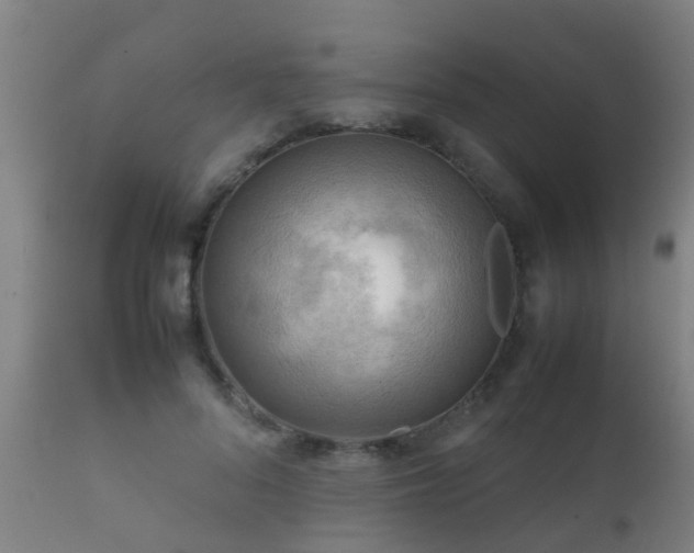 X0000112090696200908111353