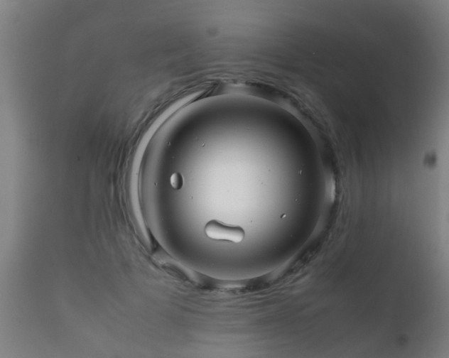 X0000112090697200908111353