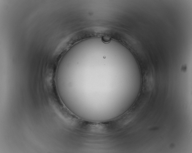 X0000112090698200908111353