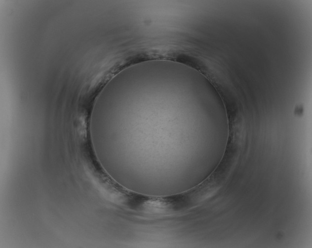 X0000112090699200908111353