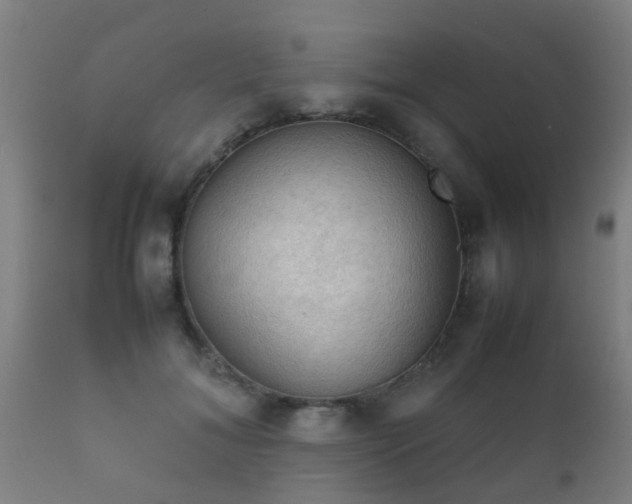 X0000112090700200908111353