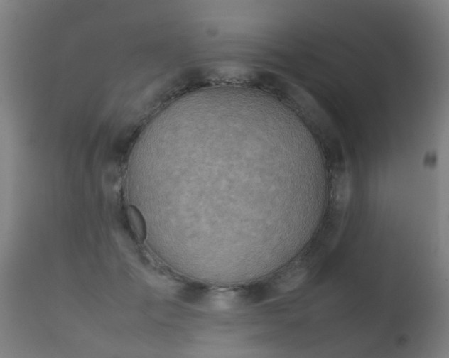 X0000112090701200908111353