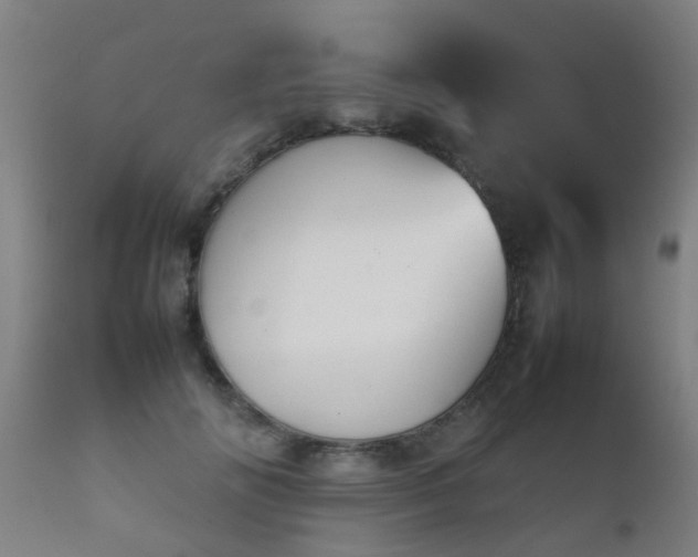 X0000112090702200908111353