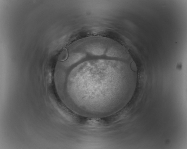 X0000112090703200908111353