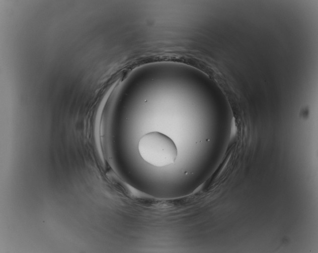 X0000112090704200908111353