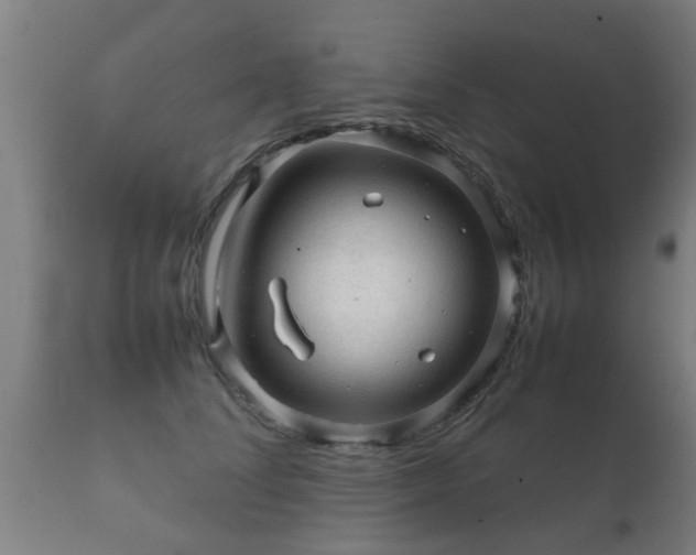 X0000112090708200908111353