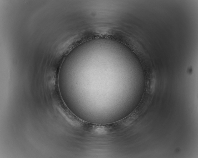 X0000112090710200908111353