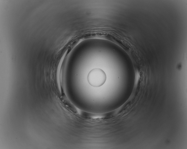 X0000112090712200908111353