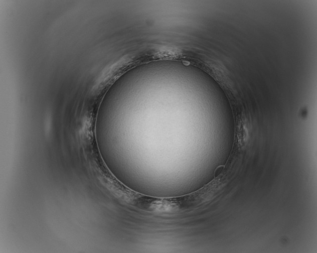 X0000112090714200908111353