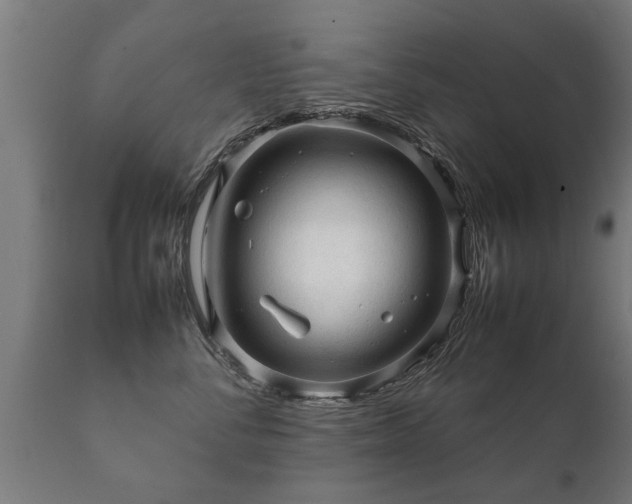 X0000112090716200908111353