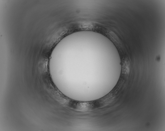 X0000112090717200908111353