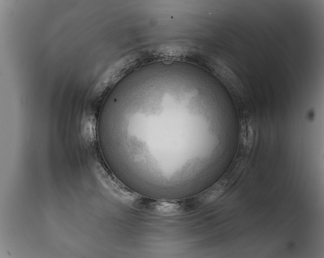 X0000112090718200908111353