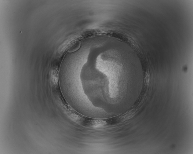 X0000112090719200908111353