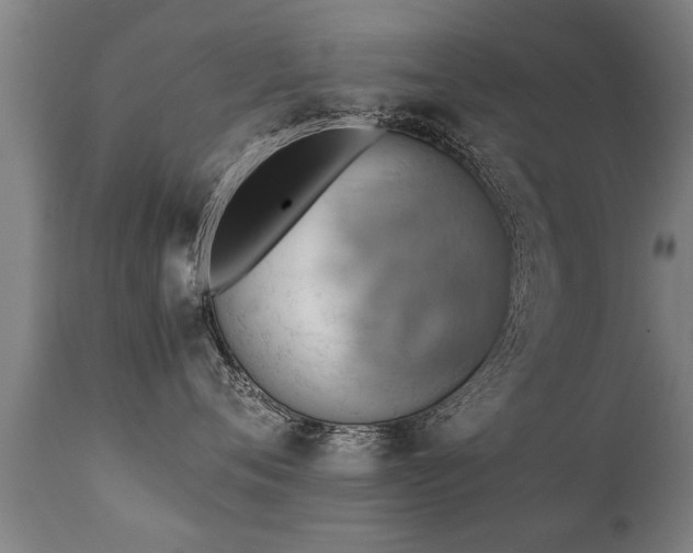 X0000112090720200908111353