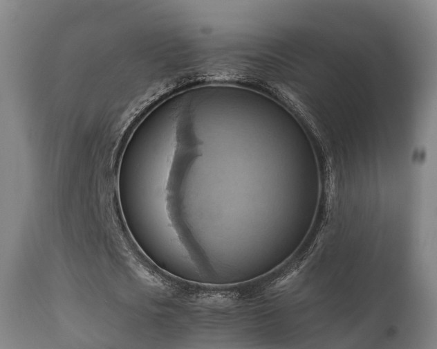 X0000112090721200908111352