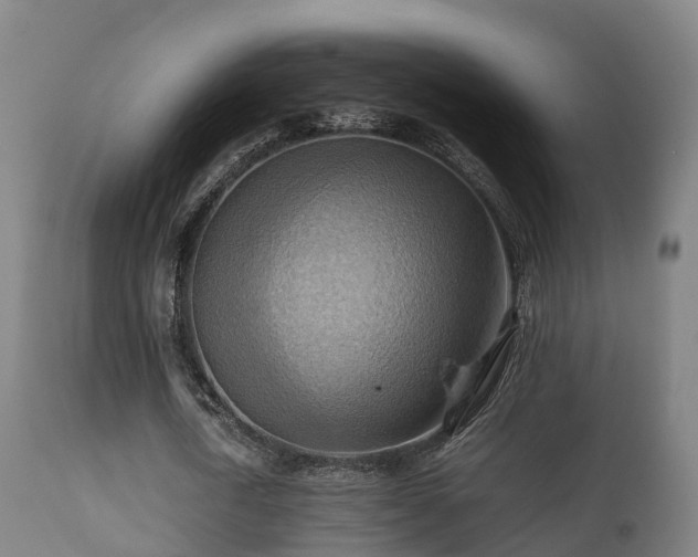 X0000112090722200908111352