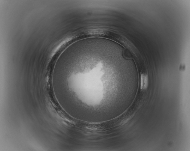 X0000112090723200908111352