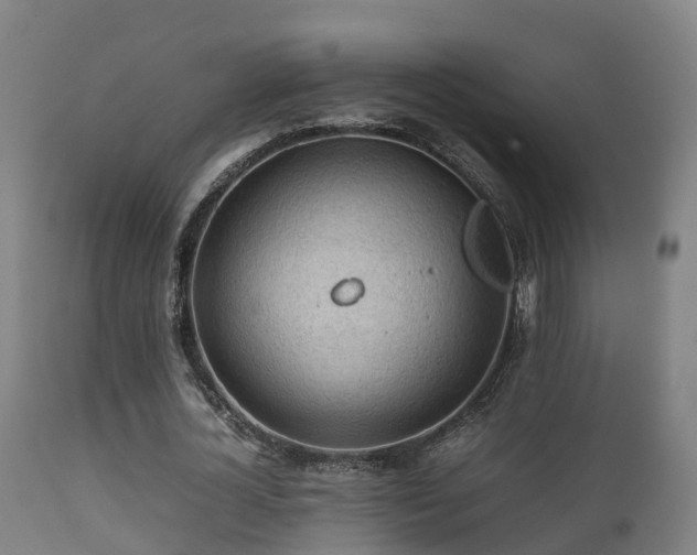 X0000112090724200908111352