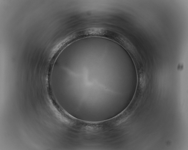 X0000112090725200908111352