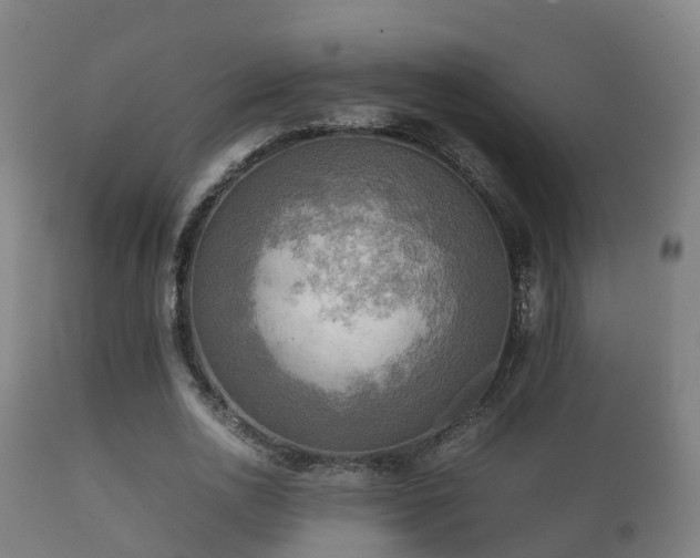 X0000112090726200908111352