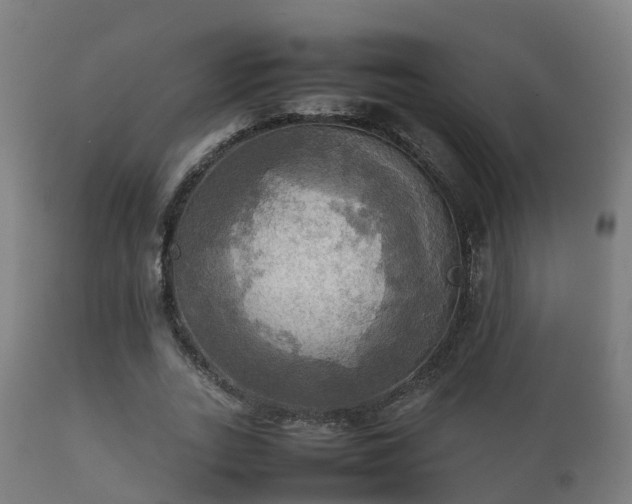 X0000112090727200908111352