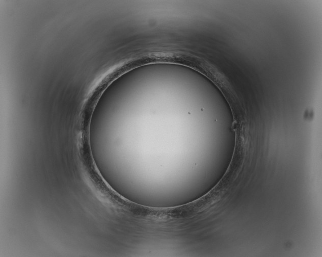 X0000112090728200908111352