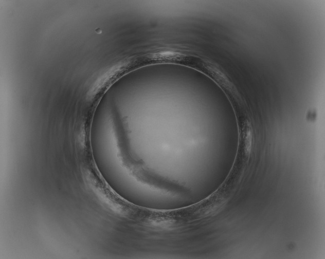 X0000112090729200908111352