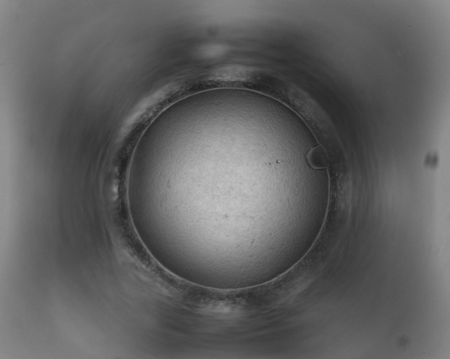 X0000112090731200908111352