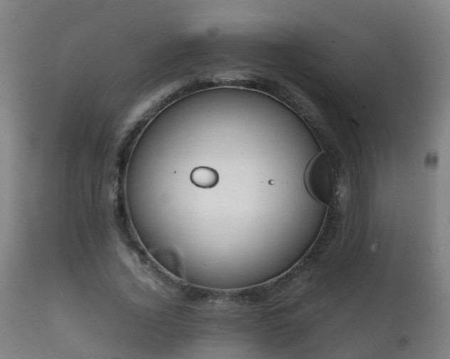 X0000112090732200908111352