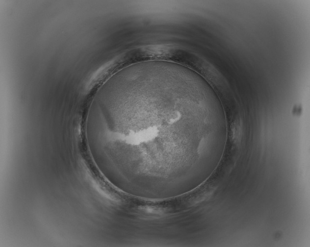 X0000112090733200908111352