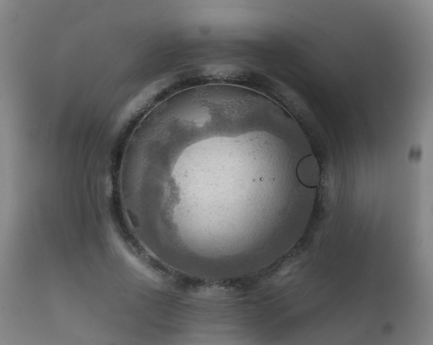 X0000112090734200908111352