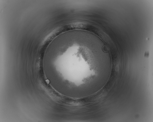 X0000112090735200908111352