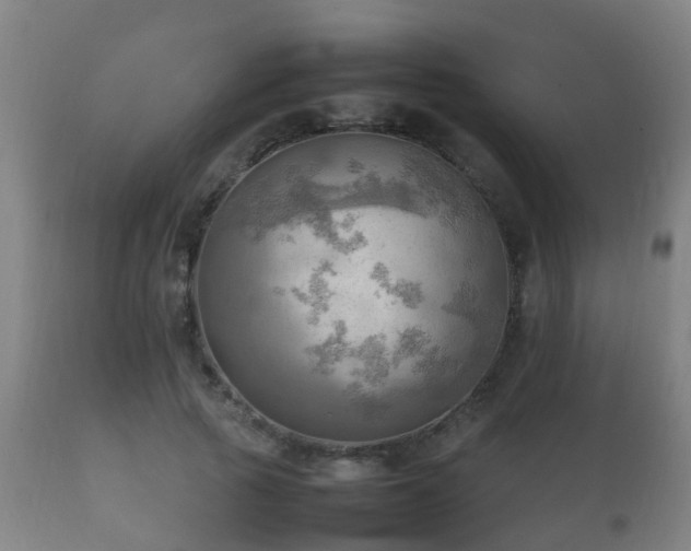 X0000112090737200908111352