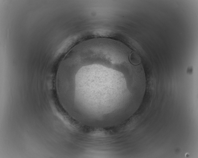 X0000112090738200908111352