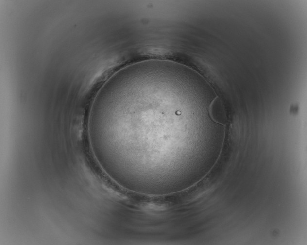 X0000112090739200908111352