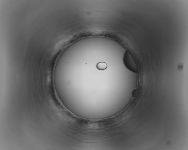 X0000112090740200908111352