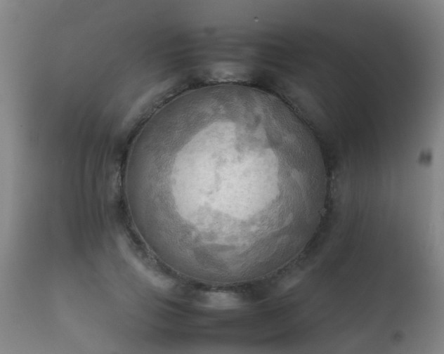 X0000112090741200908111352