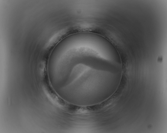 X0000112090742200908111352