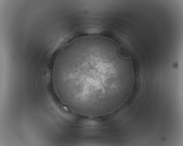 X0000112090743200908111352