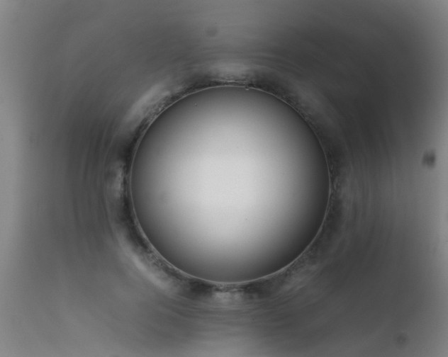 X0000112090744200908111352