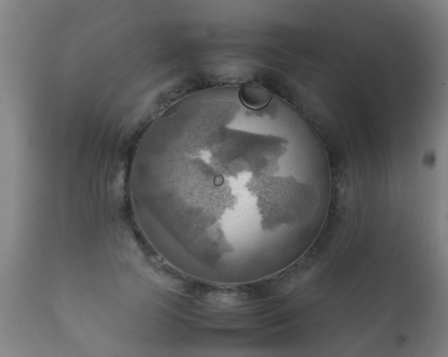 X0000112090745200908111352