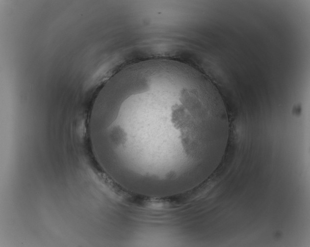 X0000112090746200908111352